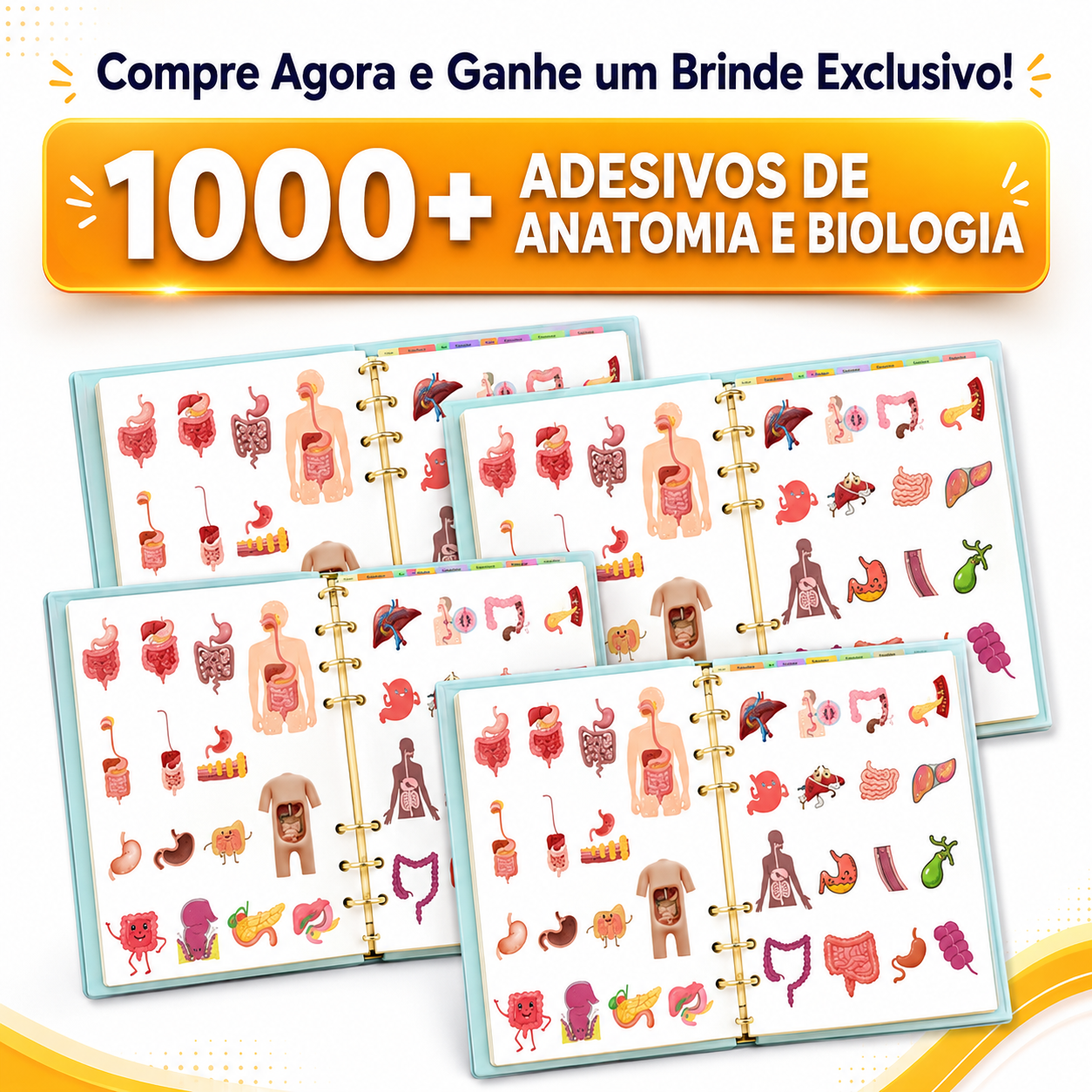Atlas Visual de Biologia