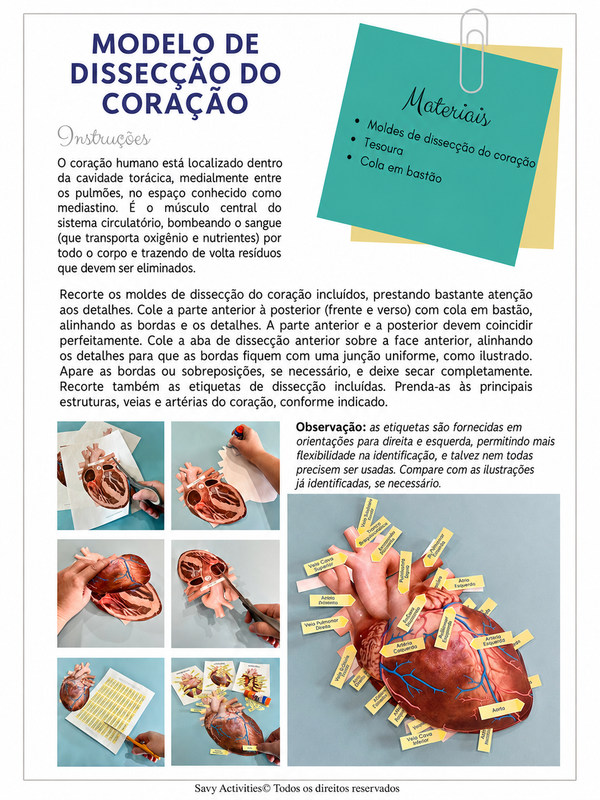 Material 2