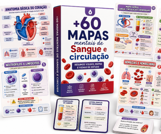 Mockup do Kit de Sangue e Circulação