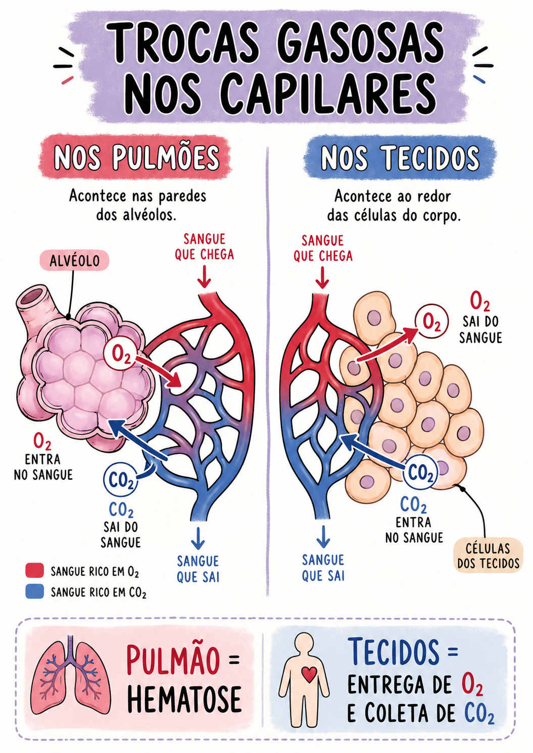 Exemplo 3